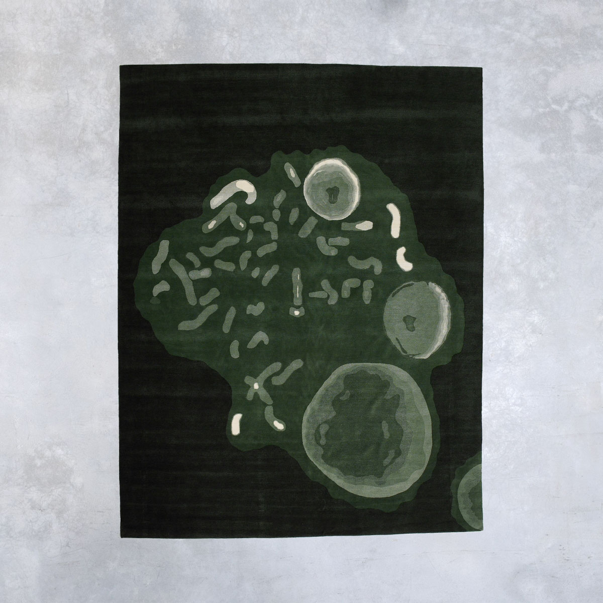 Carpet 'Chromosome-P'  Beppe Caturegli and Giovannella Formica  pic-1