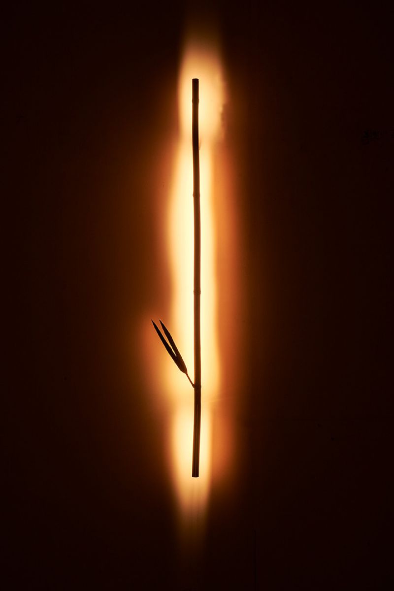 Wall lamp  Osanna Visconti pic-3