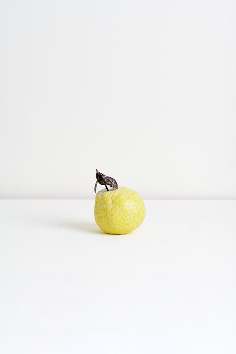 Sculpture Citron Jonathan Trayte pic-1