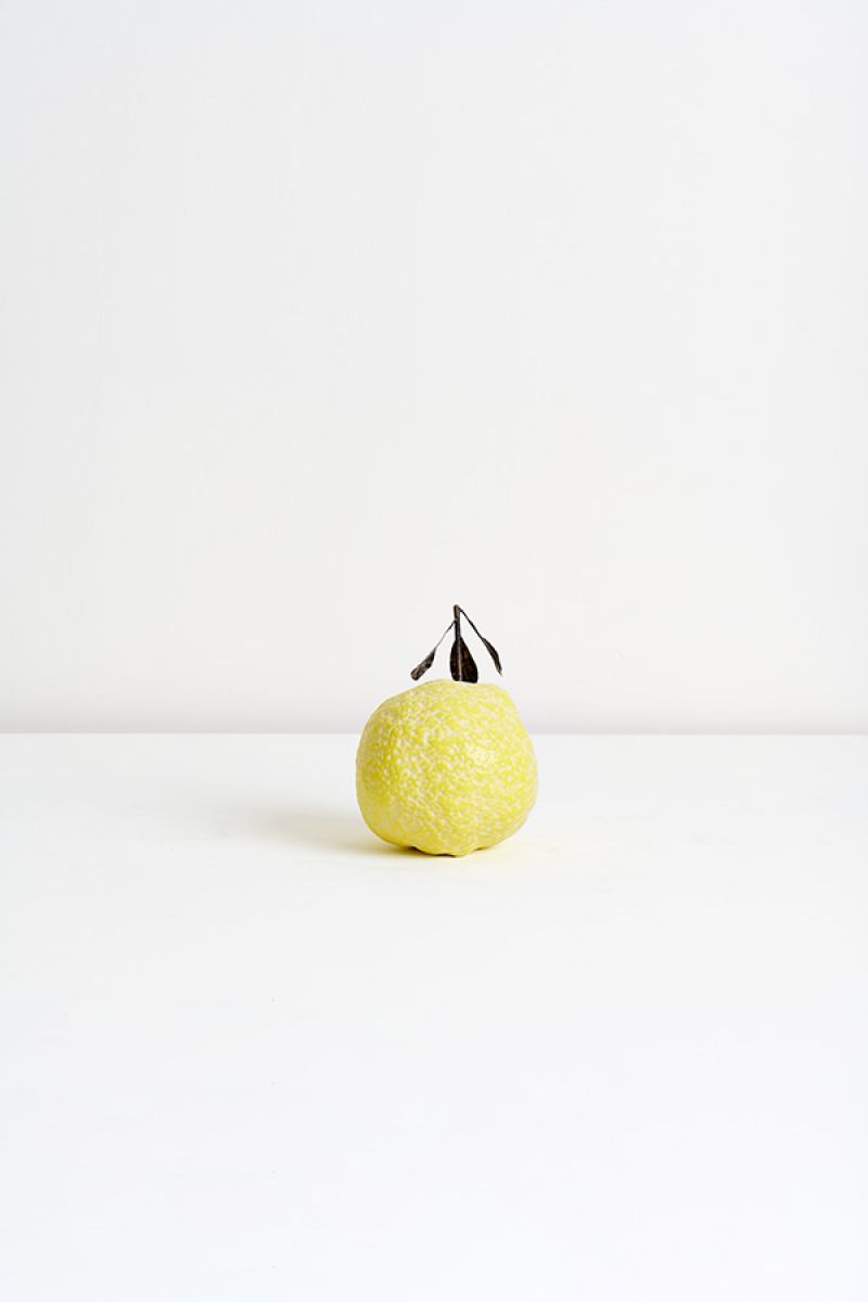 Sculpture Citron Jonathan Trayte pic-5