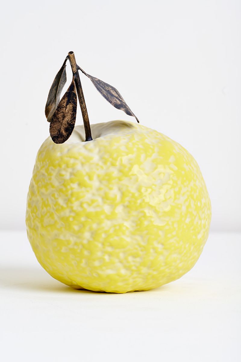 Sculpture Citron Jonathan Trayte pic-4