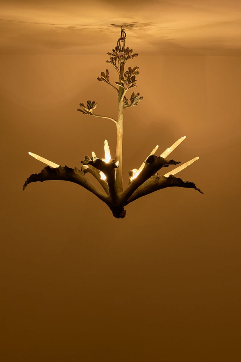 Chandelier Agave  Etienne Marc pic-5