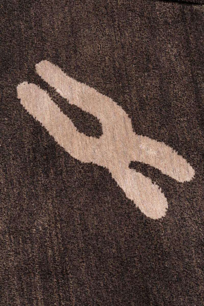 Carpet Chromosome - P Beppe Caturegli and Giovannella Formica  pic-1