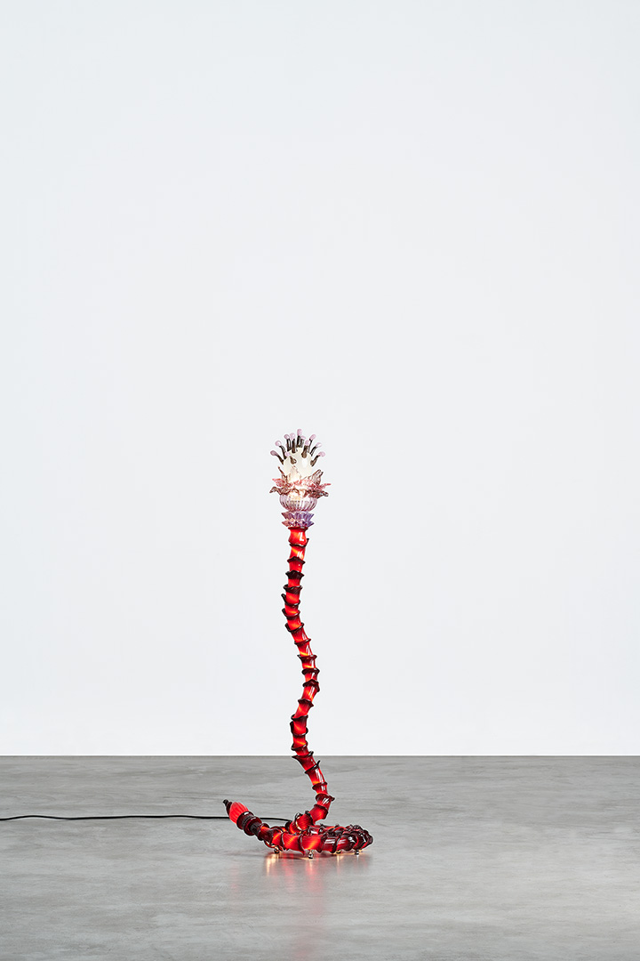 Christian Pellizzari - Nilufar