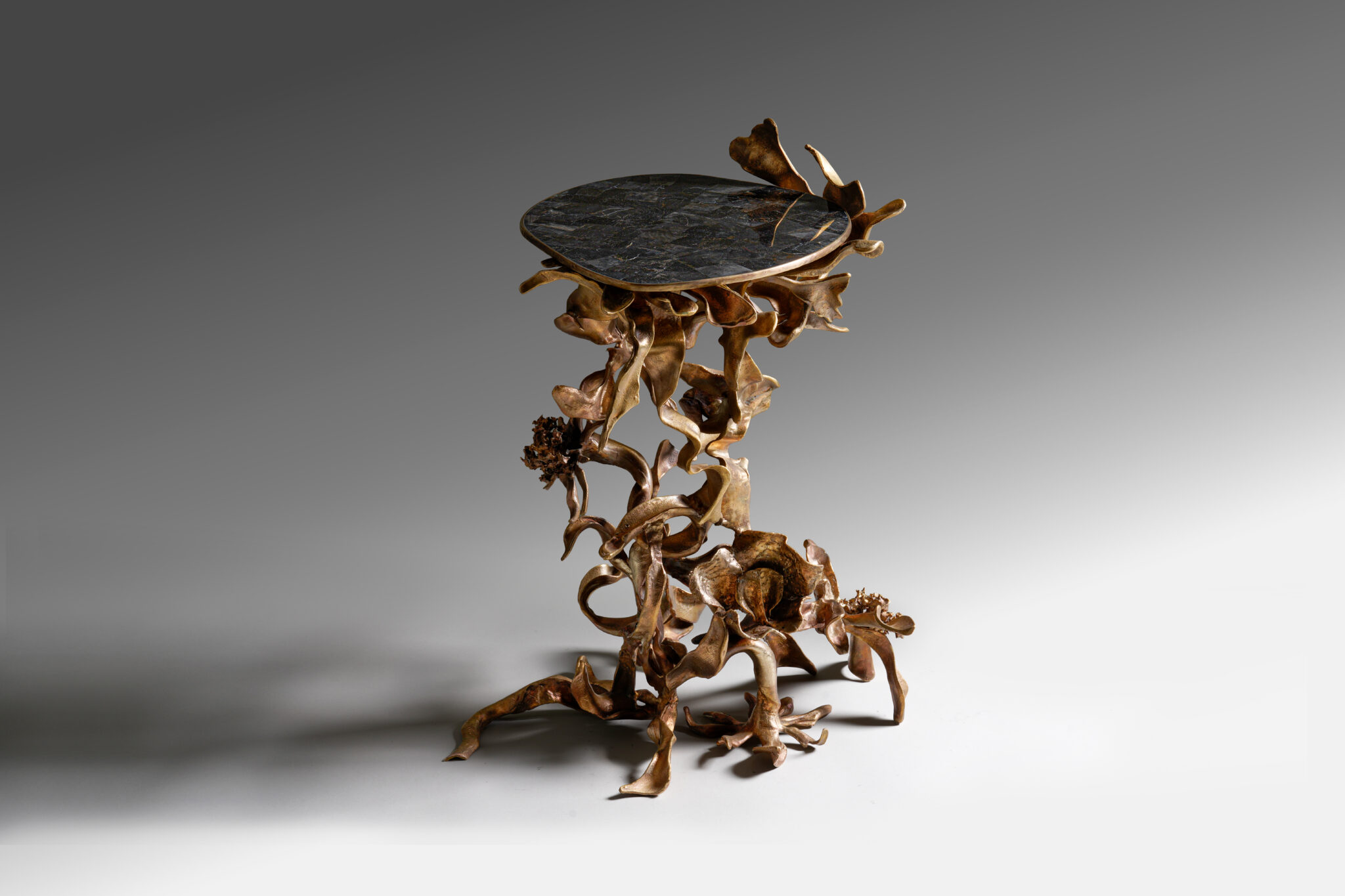 Low table Bagh by Vikram Goyal