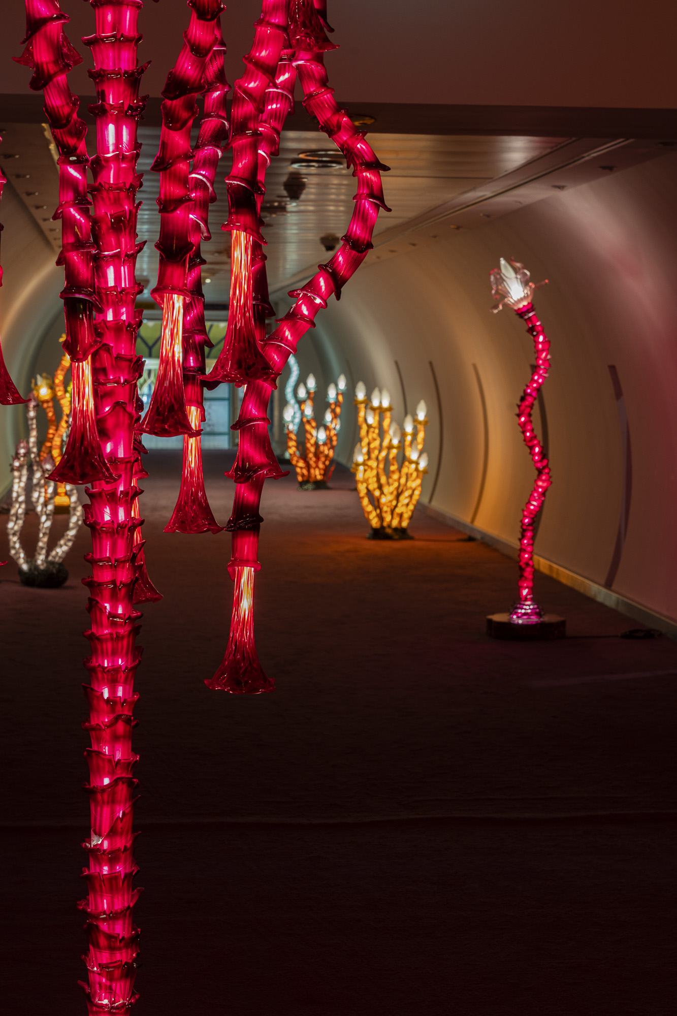 Booth in NOMAD Salon in AbuDhabi - November 2025